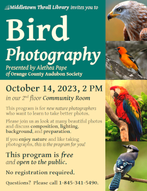 Birds Photography - learn more about this event by following this link